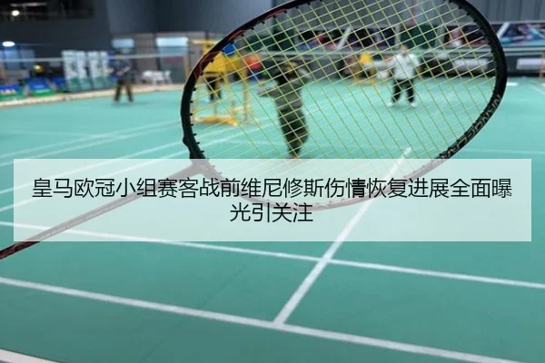 皇马欧冠小组赛客战前维尼修斯伤情恢复进展全面曝光引关注